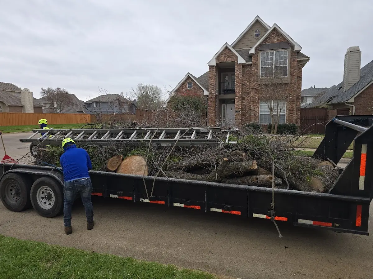 Expert Tree Fertilization with proper safety equipment in Crapo
